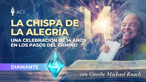 La chispa de la alegría: Celebración de los 14 años de Los pasos en el camino (Diamante)