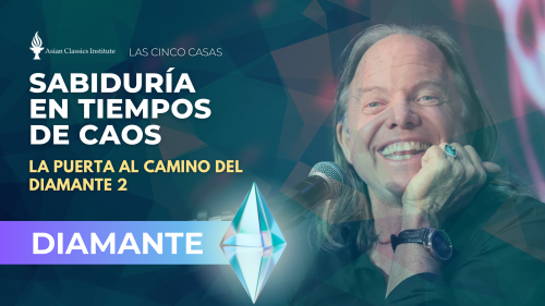 Las cinco casas: Sabiduría en Tiempos de Caos Diamante