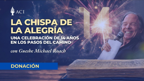 La chispa de la alegría: Celebración de los 14 años de Los pasos en el camino (LR47 - D)