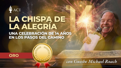 La chispa de la alegría: Celebración de los 14 años de Los pasos en el camino (Oro)