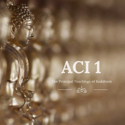 ACI 1: Los Tres Caminos Principales (por Timothy Lowenhaupt)