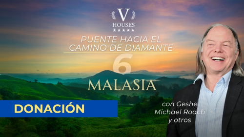 Puente hacia el Camino del Diamante 6 (Donación)