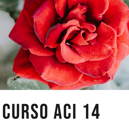 Curso ACI 14 - Lojong, desarrollando un buen corazón